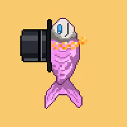 Moonfish #1212