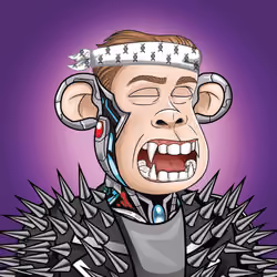 The Ape Project #342