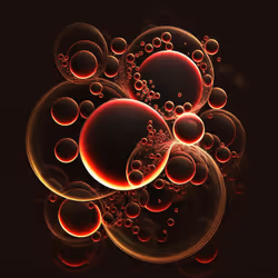81