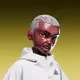 4828