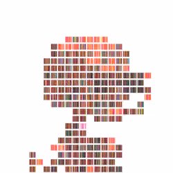 Item Media