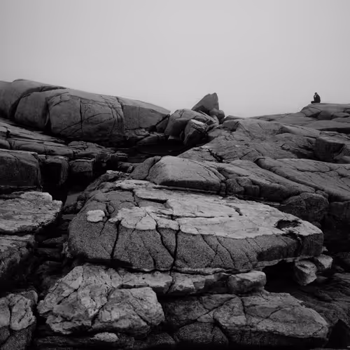 The World to Come V2