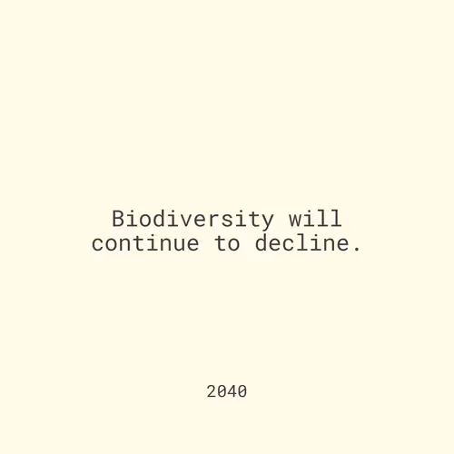 2050 #2313