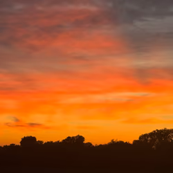 SUNSET3