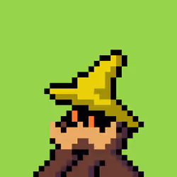 Mystical Wizard Guild #1020