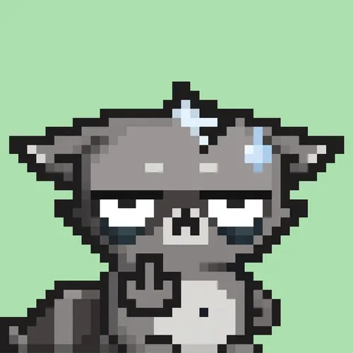 RebelRacoon #199