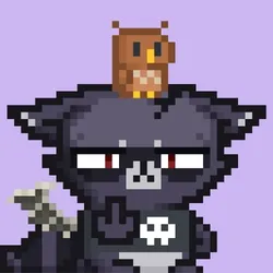 RebelRacoon #351