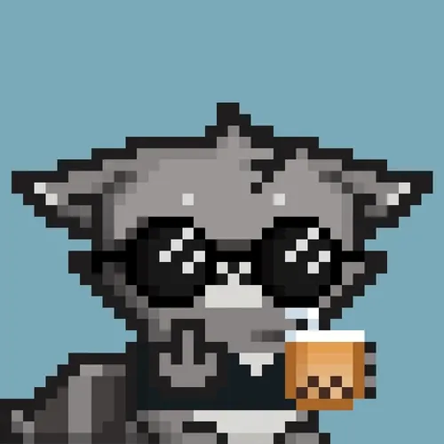 Rebelracoons