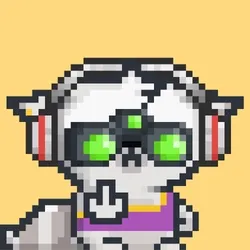 RebelRacoon #643
