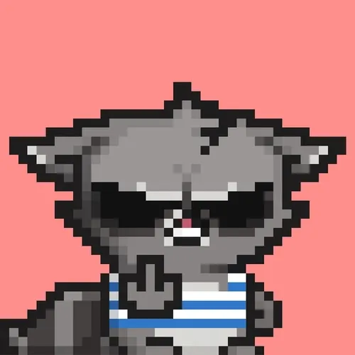 RebelRacoon #365