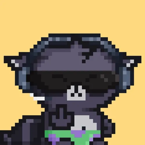 Rebelracoons