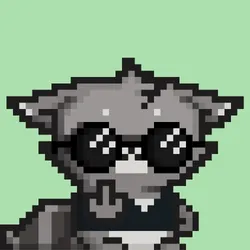 RebelRacoon #360