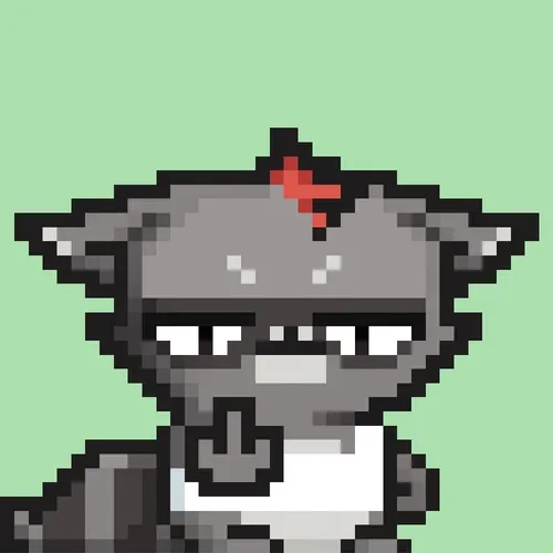 Rebelracoons