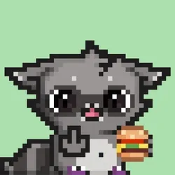 RebelRacoon #247