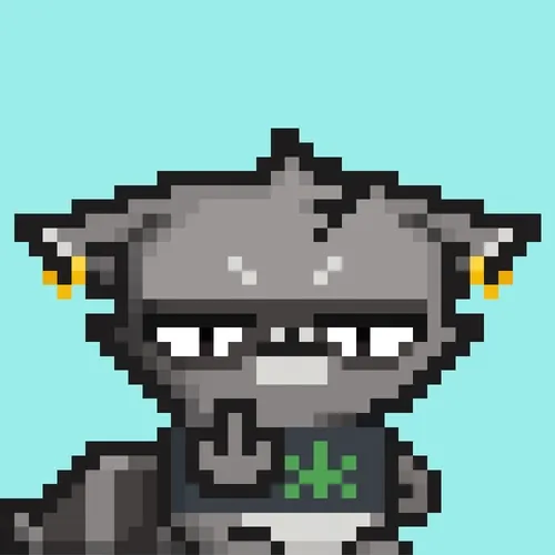 Rebelracoons