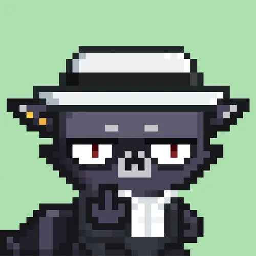 RebelRacoon #301