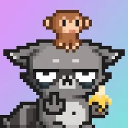 RebelRacoon #127