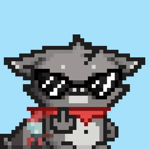 Rebelracoons