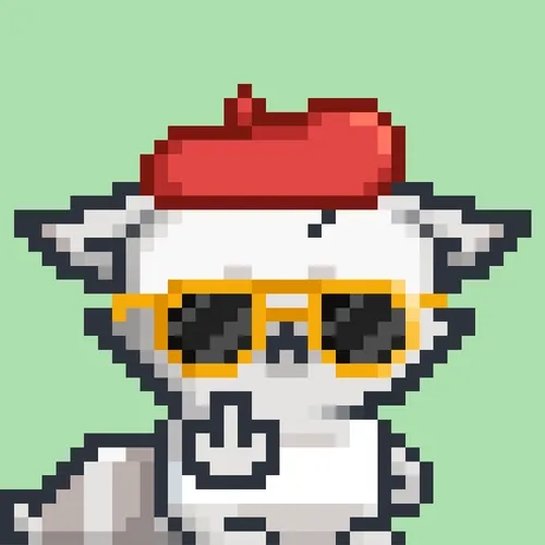 Rebelracoons