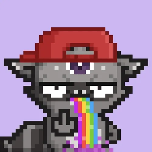 Rebelracoons