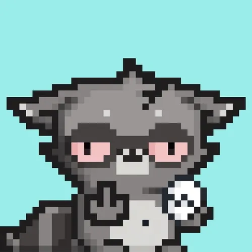 RebelRacoon #69