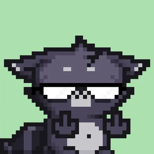 RebelRacoon #851