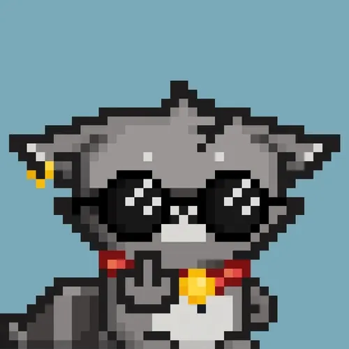 Rebelracoons