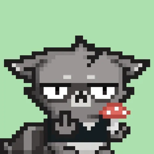 RebelRacoon #640