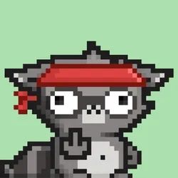 RebelRacoon #589