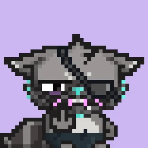 RebelRacoon #104