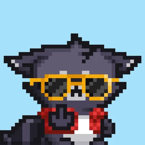 RebelRacoon #241