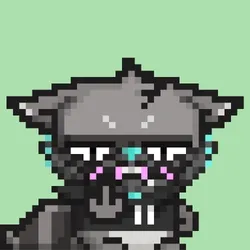 RebelRacoon #679