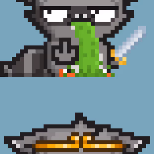Rebelracoons