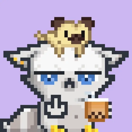 RebelRacoon #243