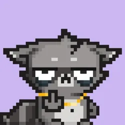RebelRacoon #705