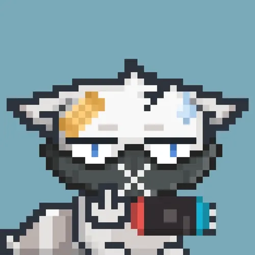 RebelRacoon #463