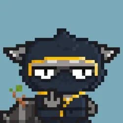 RebelRacoon #242