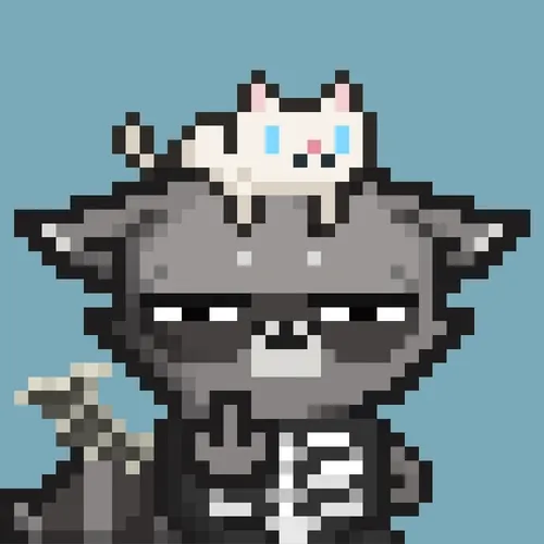 Rebelracoons