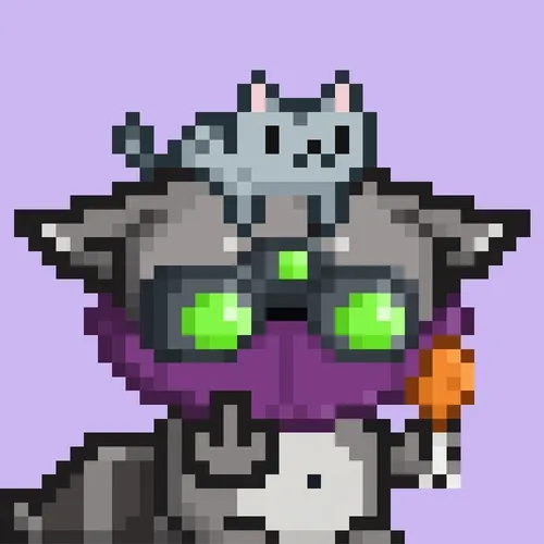 Rebelracoons