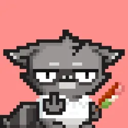 RebelRacoon #324