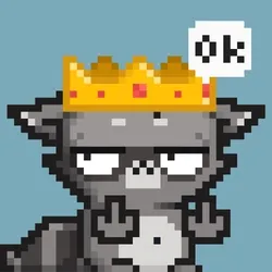 RebelRacoon #519
