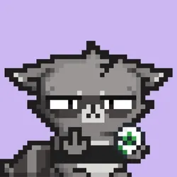 RebelRacoon #704