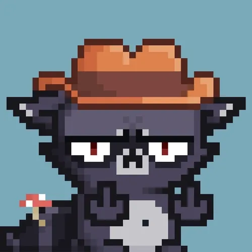 Rebelracoons