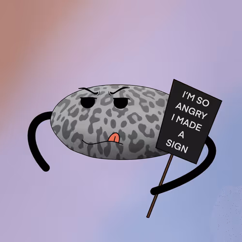 Item #41 Media