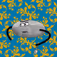 34