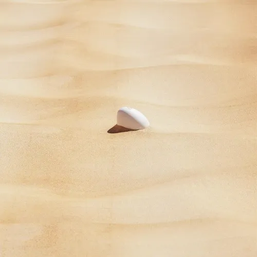 Slow Turtles - revealing soon!