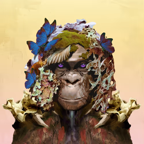 Angry Ape Army Evolution Collection