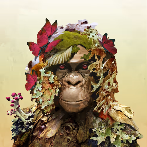 Angry Ape Army Evolution Collection