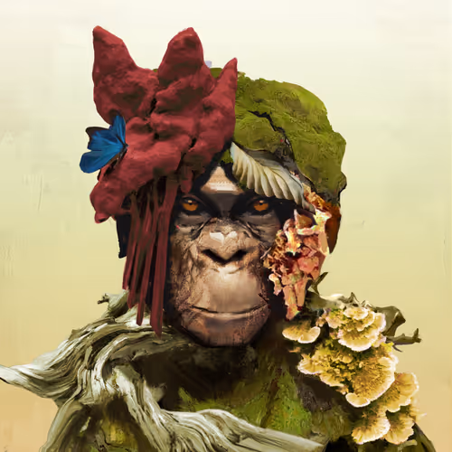 Angry Ape Army Evolution Collection