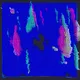 Psychotropic Dreams